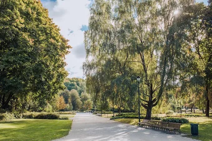 Bernardinų sodas (Sereikiškių parkas)
